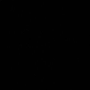 Meet your Posher, Kaitlyn